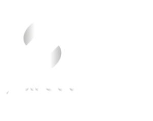 بازدید نماینده مجلس و مدیر سازمان حمل و نقل از کانون تابان شهر بازدید نماینده مجلس و مدیر سازمان حمل و نقل از کانون تابان شهر